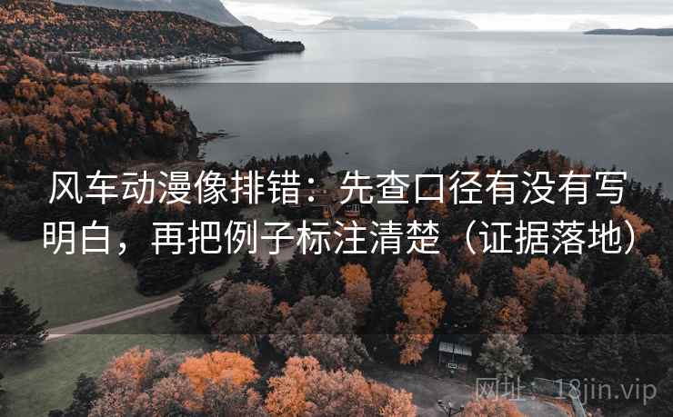 风车动漫像排错：先查口径有没有写明白，再把例子标注清楚（证据落地）