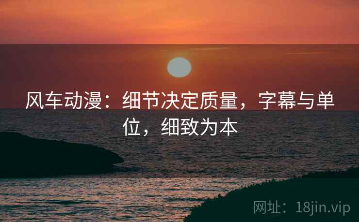 风车动漫：细节决定质量，字幕与单位，细致为本